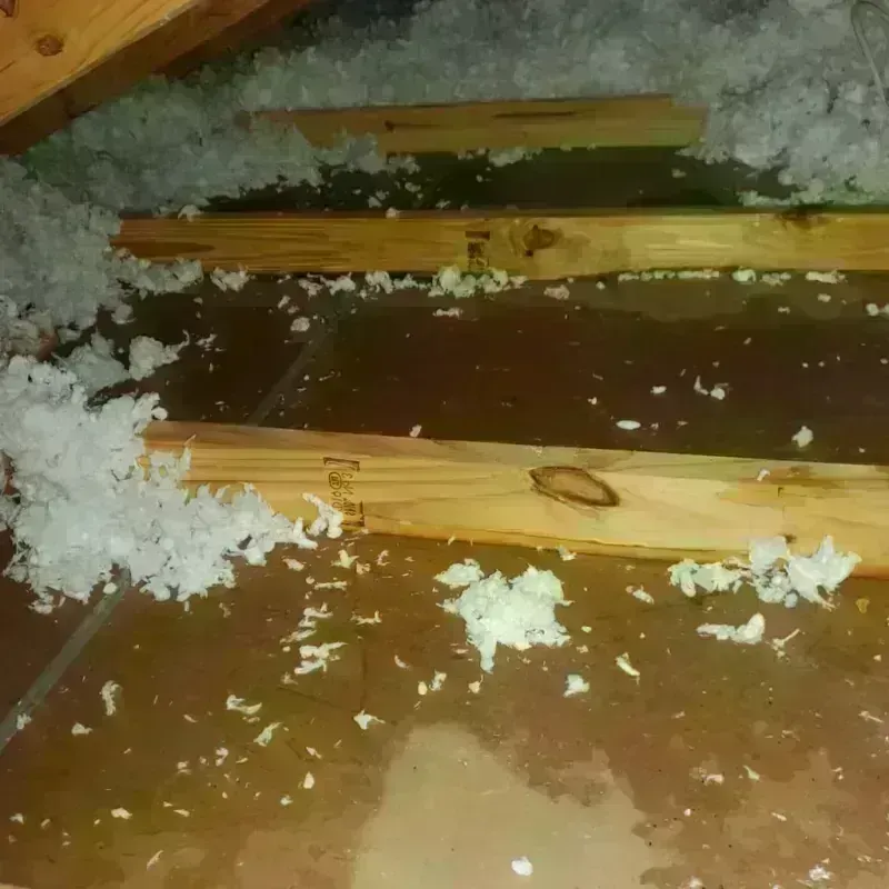 Attic Water Damage in Bridgeport, CT